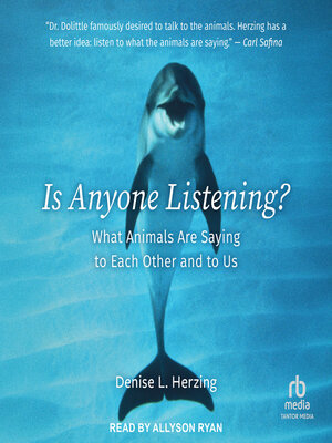 cover image of Is Anyone Listening?